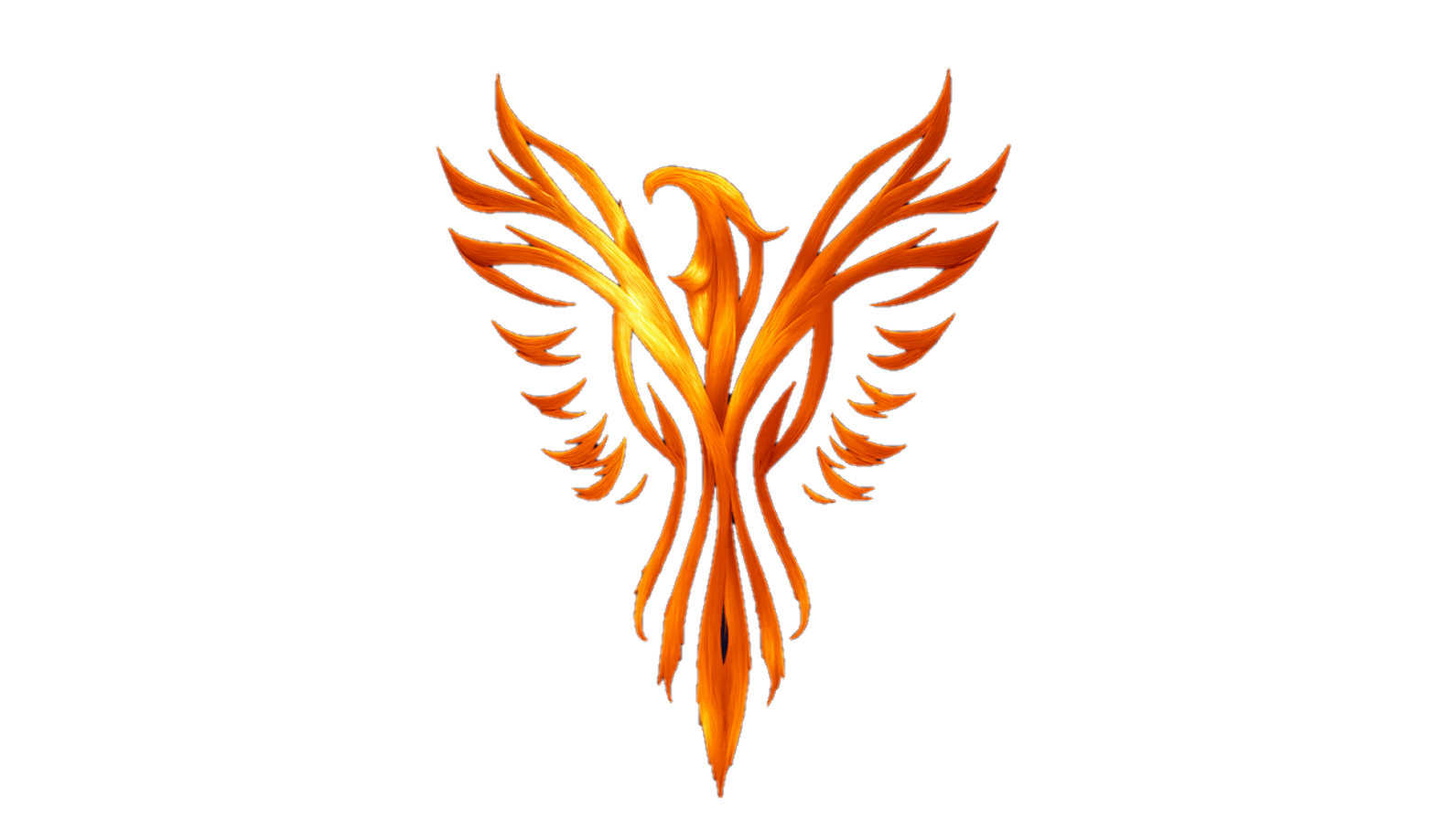 Habrok Cyber Security – Security Today